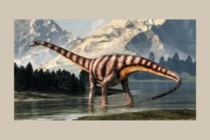 Dinossauros herbívoros tudo o que você gostaria de saber Proto