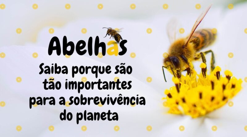 porque abelhas são importantes