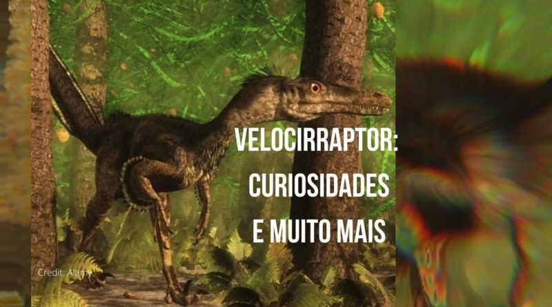 velocirraptor