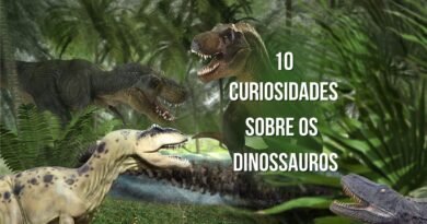 curiosidade sobre os dinossauros