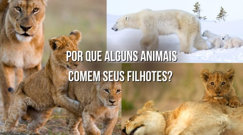 porque alguns animais comem seus filhotes