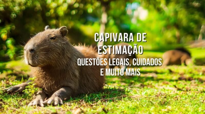 capivara de estimação