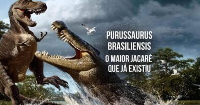 purussaurus