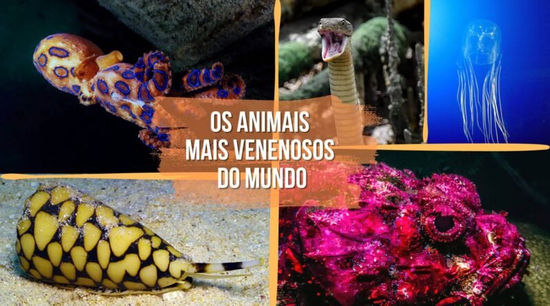 animais mais venenosos do mundo