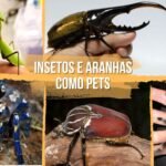 animais de estimação exóticos