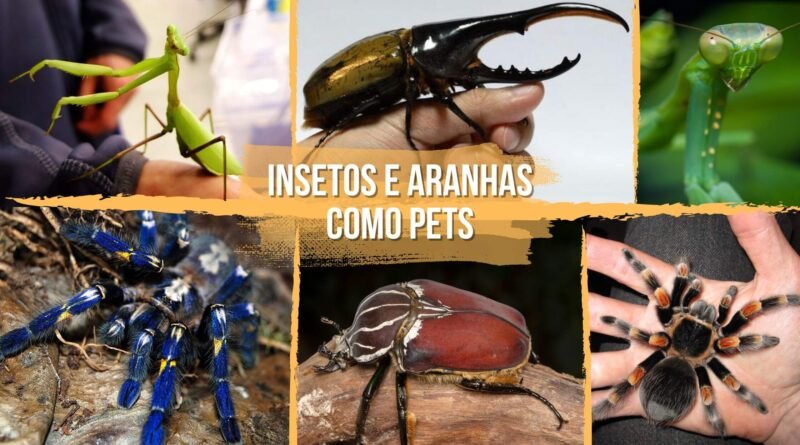 animais de estimação exóticos